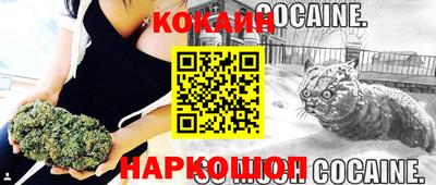 гашик Ливны