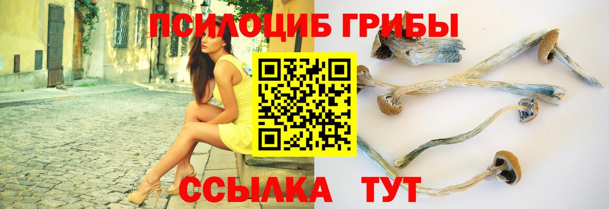 Галлюциногенные грибы мицелий Донской